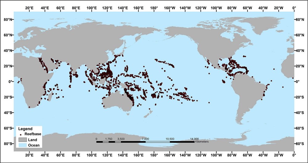 Coral Reefs thrive in warmth